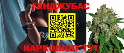 дмт Гатчина