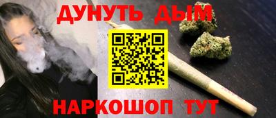 дмт Гатчина