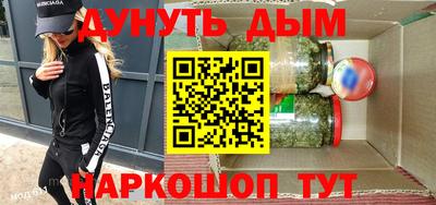 дмт Гатчина