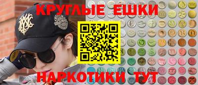 дмт Гатчина