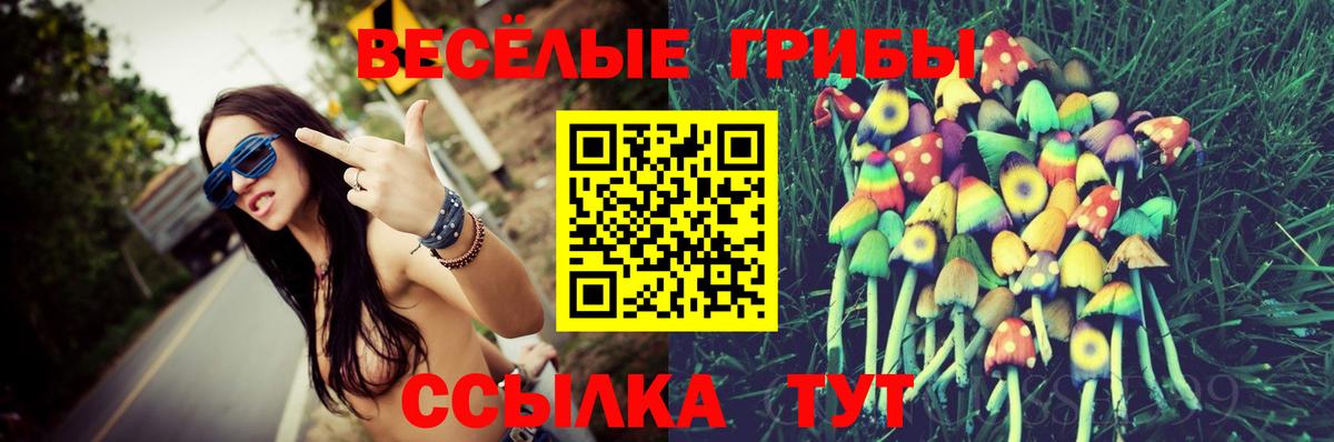 Тимашёвск  Галлюциногенные грибы Psilocybe  Галлюциногенные грибы GOLDEN TEACHER  Вход с VPN 