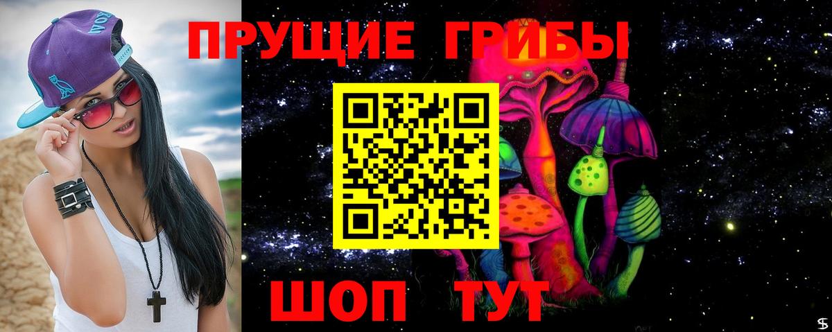 Галлюциногенные грибы прущие грибы Тимашёвск